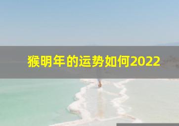 猴明年的运势如何2022