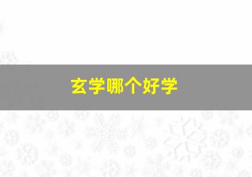 玄学哪个好学