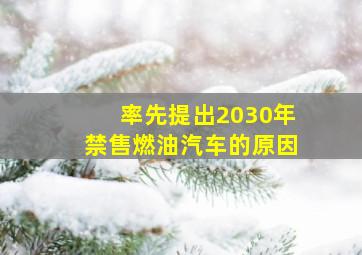 率先提出2030年禁售燃油汽车的原因