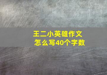 王二小英雄作文怎么写40个字数