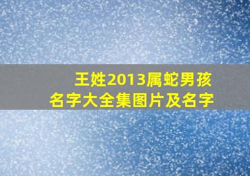 王姓2013属蛇男孩名字大全集图片及名字