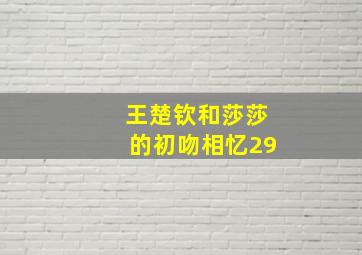 王楚钦和莎莎的初吻相忆29