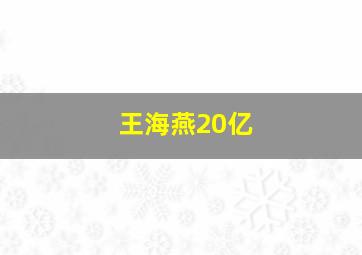 王海燕20亿