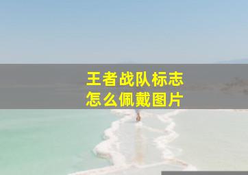 王者战队标志怎么佩戴图片