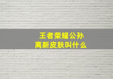 王者荣耀公孙离新皮肤叫什么