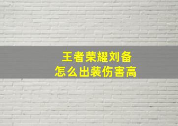 王者荣耀刘备怎么出装伤害高