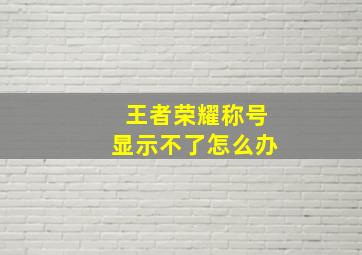 王者荣耀称号显示不了怎么办