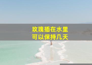 玫瑰插在水里可以保持几天