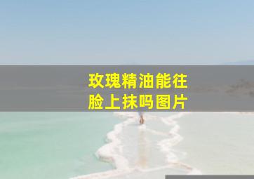 玫瑰精油能往脸上抹吗图片