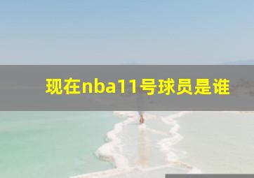 现在nba11号球员是谁