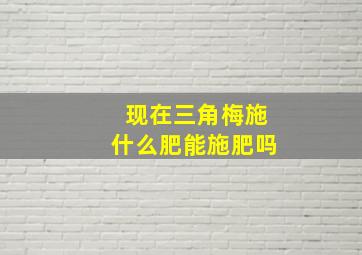 现在三角梅施什么肥能施肥吗