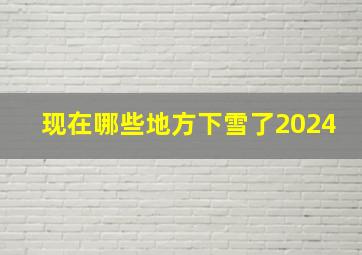 现在哪些地方下雪了2024