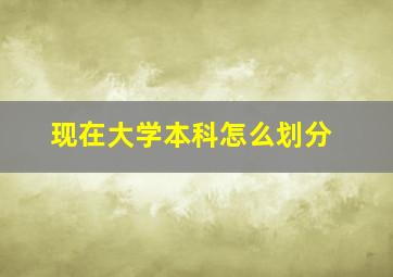 现在大学本科怎么划分