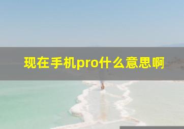 现在手机pro什么意思啊