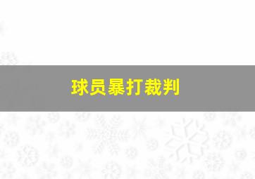 球员暴打裁判