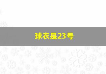 球衣是23号