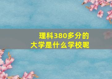 理科380多分的大学是什么学校呢