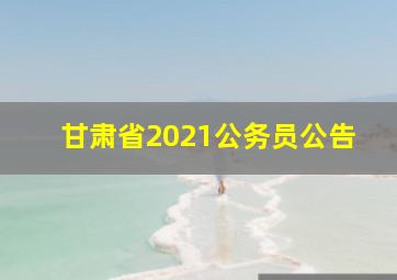 甘肃省2021公务员公告