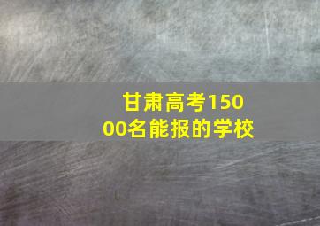 甘肃高考15000名能报的学校