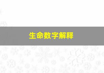 生命数字解释