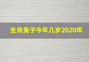 生肖兔子今年几岁2020年