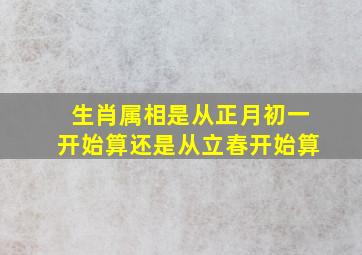 生肖属相是从正月初一开始算还是从立春开始算