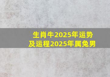 生肖牛2025年运势及运程2025年属兔男