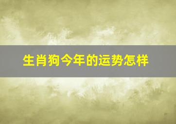 生肖狗今年的运势怎样