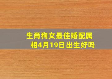 生肖狗女最佳婚配属相4月19日出生好吗