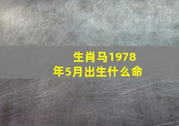 生肖马1978年5月出生什么命