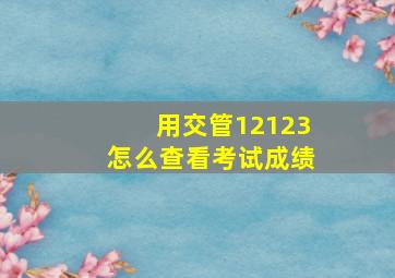 用交管12123怎么查看考试成绩