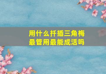 用什么扦插三角梅最管用最能成活吗