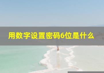 用数字设置密码6位是什么