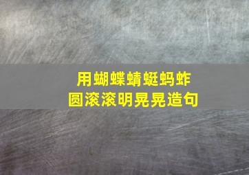 用蝴蝶蜻蜓蚂蚱圆滚滚明晃晃造句