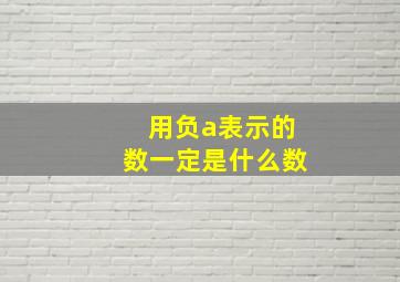 用负a表示的数一定是什么数