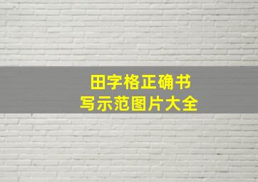 田字格正确书写示范图片大全