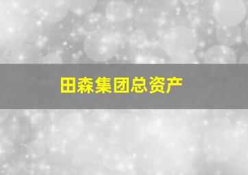 田森集团总资产