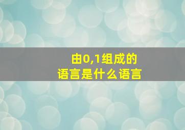 由0,1组成的语言是什么语言