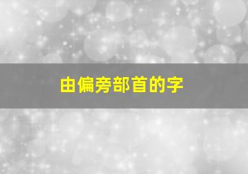 由偏旁部首的字