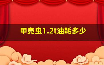 甲壳虫1.2t油耗多少