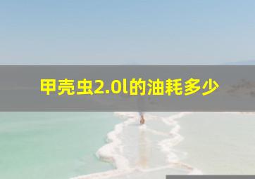 甲壳虫2.0l的油耗多少