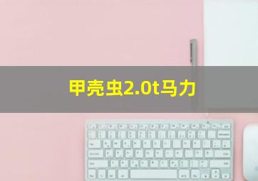 甲壳虫2.0t马力