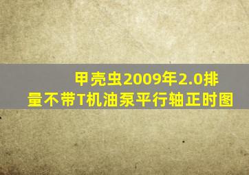 甲壳虫2009年2.0排量不带T机油泵平行轴正时图