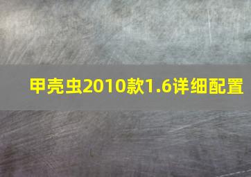 甲壳虫2010款1.6详细配置