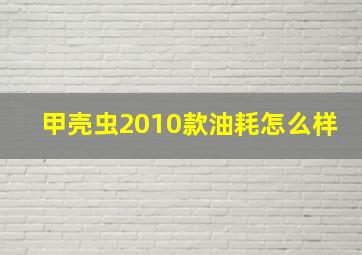 甲壳虫2010款油耗怎么样