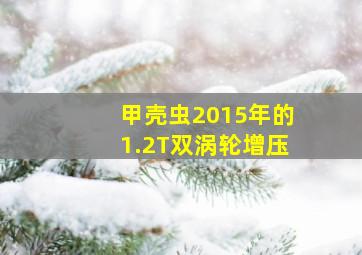 甲壳虫2015年的1.2T双涡轮增压