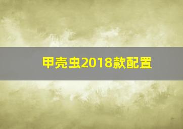 甲壳虫2018款配置