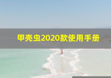 甲壳虫2020款使用手册