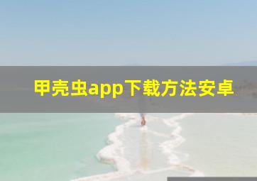 甲壳虫app下载方法安卓