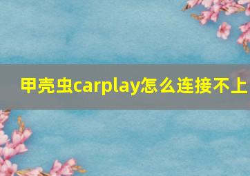 甲壳虫carplay怎么连接不上